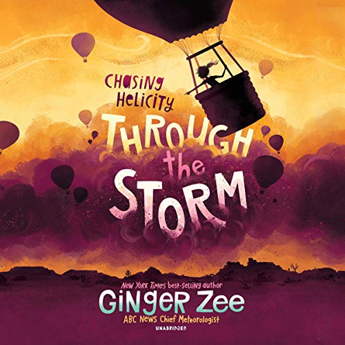 Cover of Chasing Helicity: Through the Storm