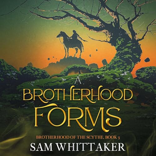 Cover of A Brotherhood Forms: A Fantasy Adventure of Rising War!