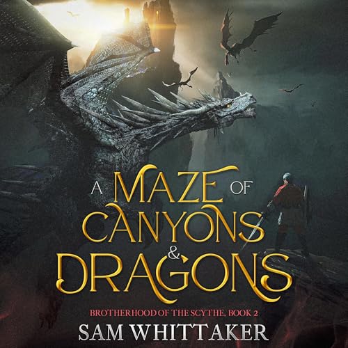 Cover of A Maze of Canyons & Dragons