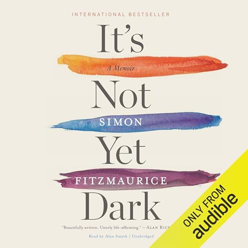 Cover of It’s Not Yet Dark