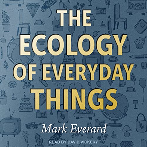 Cover of The Ecology of Everyday Things
