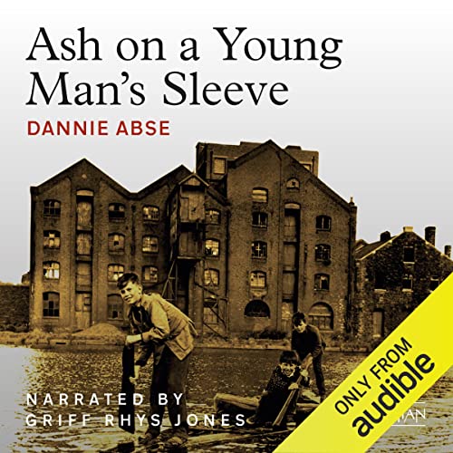 Cover of Ash on a Young Man's Sleeve