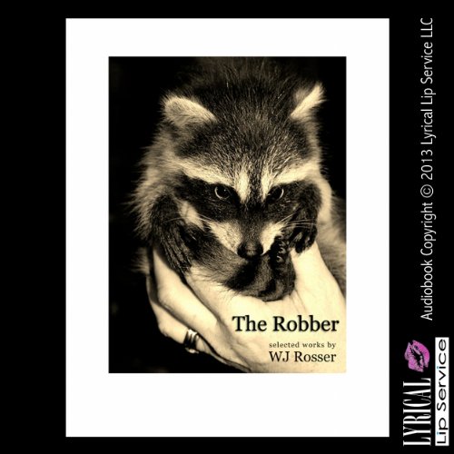 Cover of The Robber