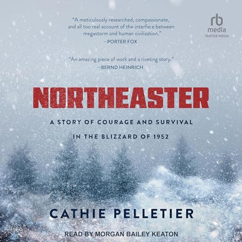 Cover of Northeaster