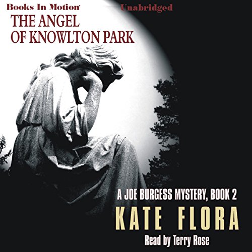 Cover of The Angel of Knowlton Park