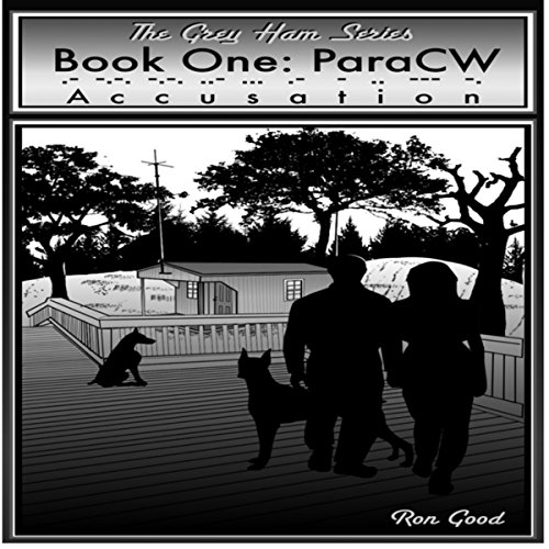 Cover of Accusation