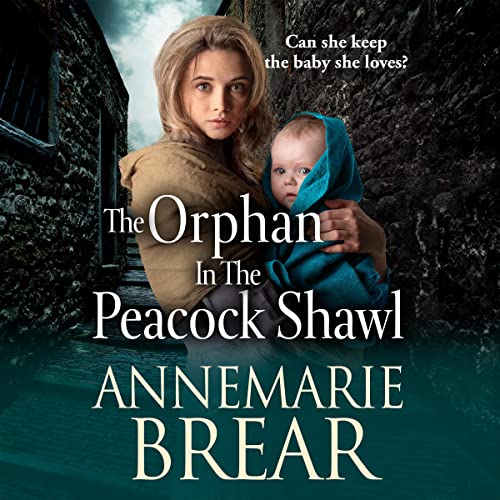 Cover of The Orphan in the Peacock Shawl