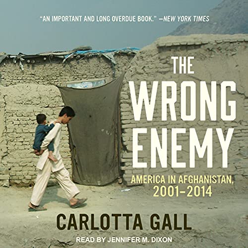 Cover of The Wrong Enemy
