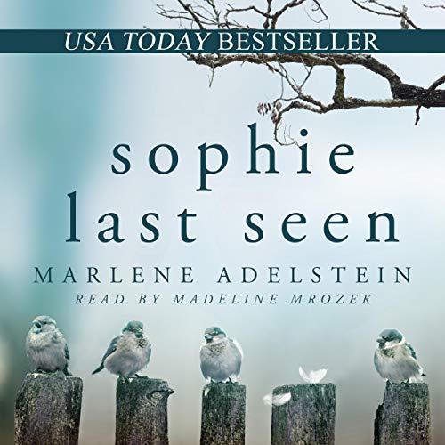 Cover of Sophie Last Seen