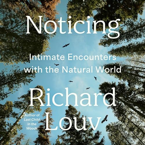 Cover of Noticing
