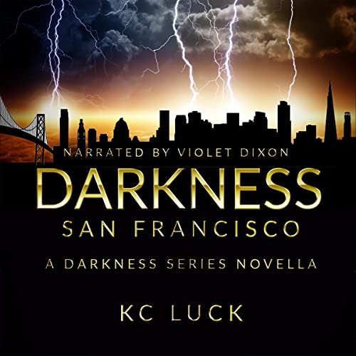 Cover of Darkness San Francisco