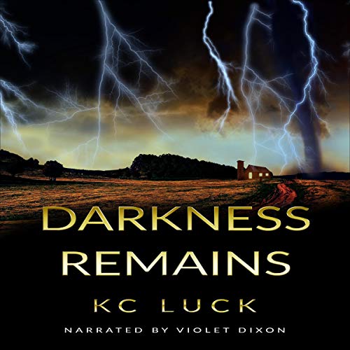 Cover of Darkness Remains