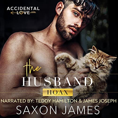 Cover of The Husband Hoax