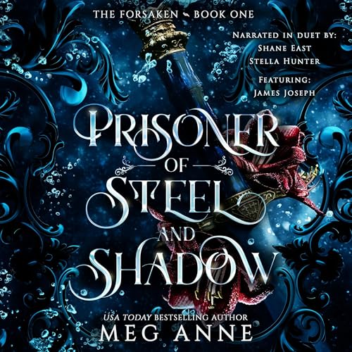 Cover of Prisoner of Steel and Shadow