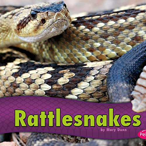Cover of Rattlesnakes