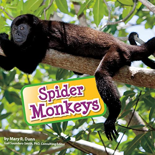 Cover of Spider Monkeys