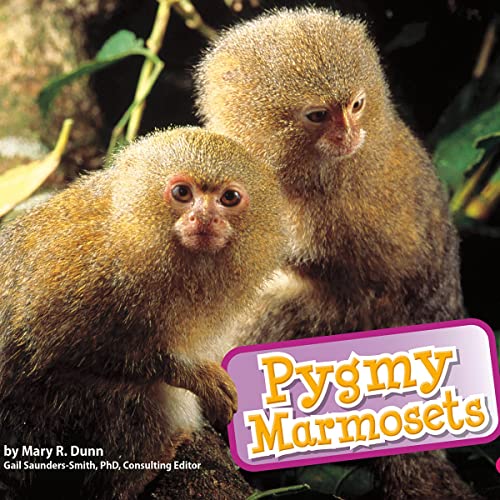 Cover of Pygmy Marmosets