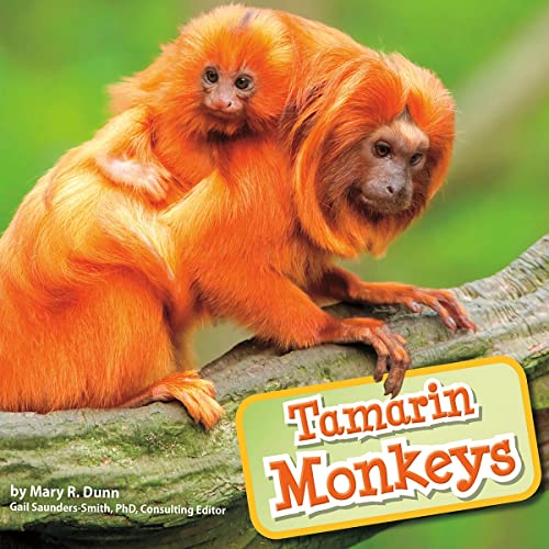 Cover of Tamarin Monkeys