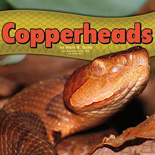 Cover of Copperheads