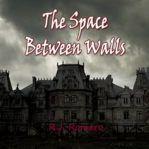 Cover of The Space Between Walls