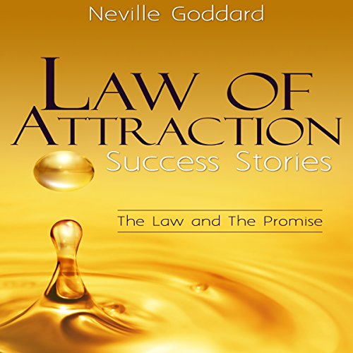 Cover of Law of Attraction Success Stories