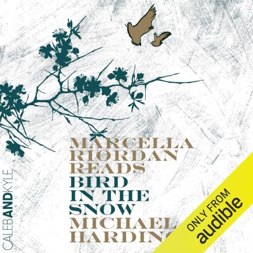 Cover of Bird in the Snow