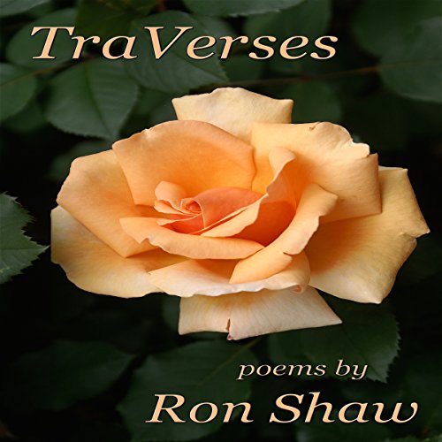 Cover of TraVerses