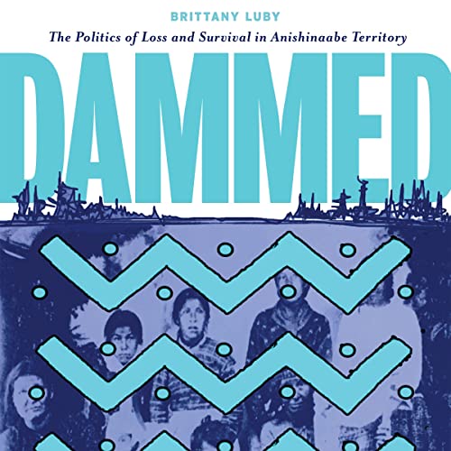 Cover of Dammed