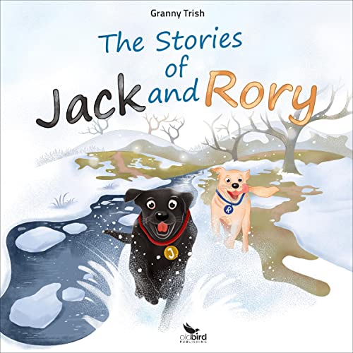 Cover of The Stories of Jack and Rory