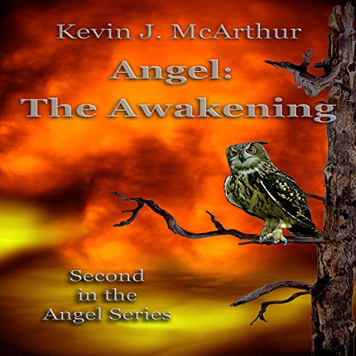 Cover of Angel: The Awakening