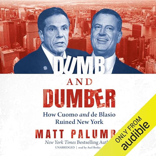 Cover of Dumb and Dumber