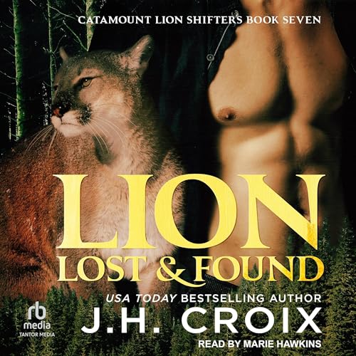 Cover of Lion Lost & Found