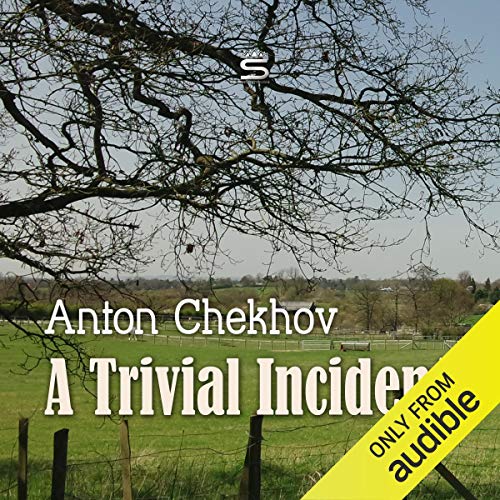 Cover of A Trivial Incident