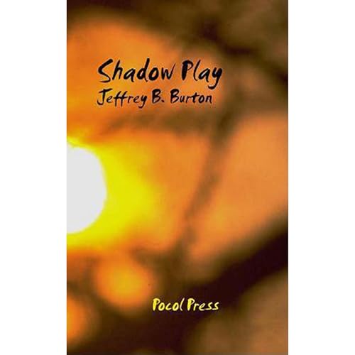 Cover of Shadow Play