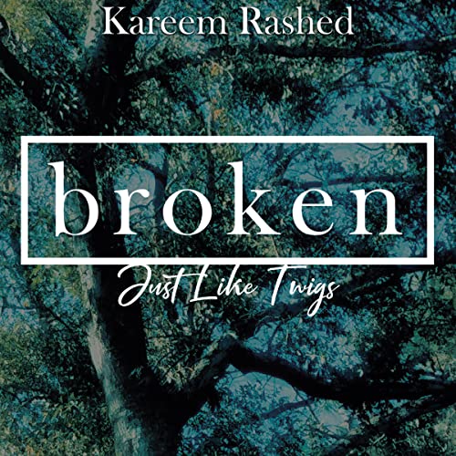 Cover of Broken
