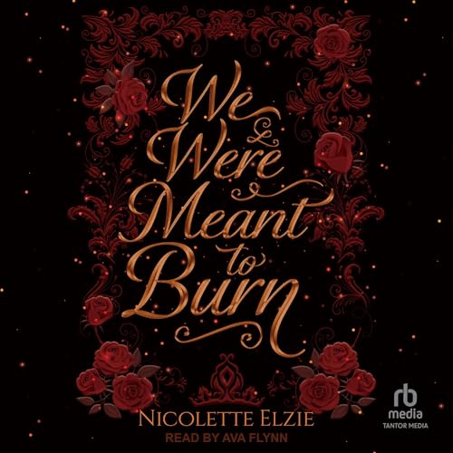 Cover of We Were Meant to Burn
