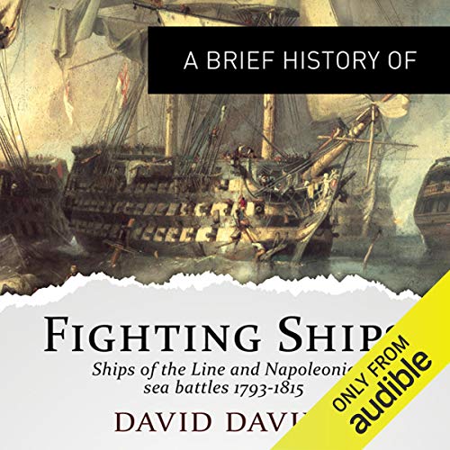 Cover of A Brief History of Fighting Ships