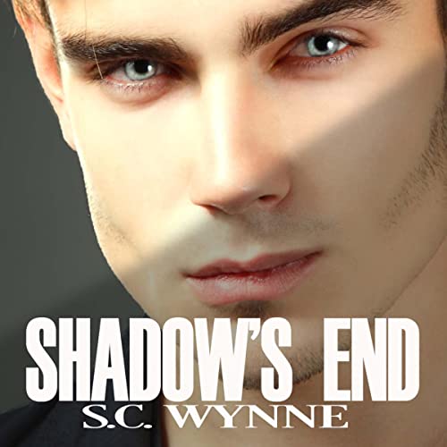 Cover of Shadow's End