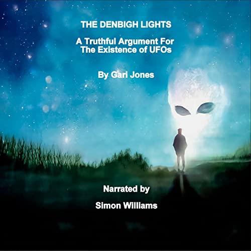 Cover of The Denbigh Lights