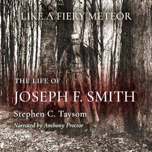 Cover of Like a Fiery Meteor