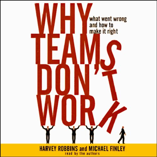 Cover of Why Teams Don't Work