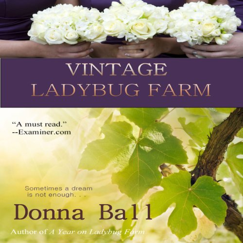 Cover of Vintage Ladybug Farm