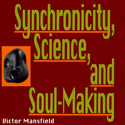 Cover of Synchronicity, Science, and Soul-Making
