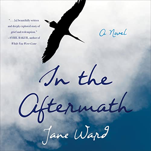 Cover of In the Aftermath