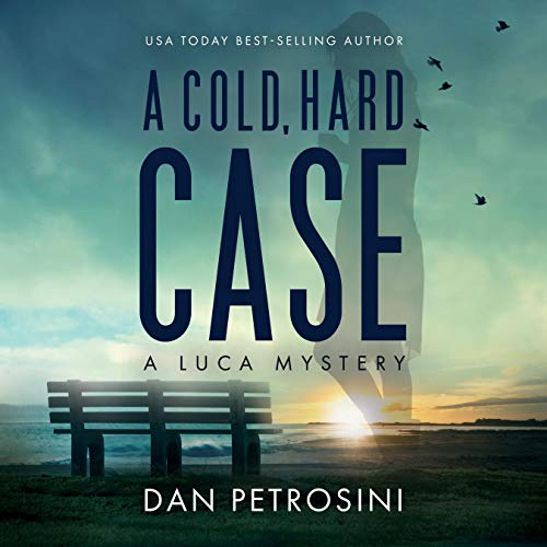 Cover of A Cold, Hard Case