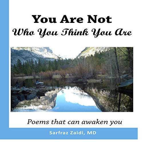 Cover of You Are Not Who You Think You Are