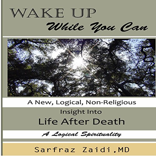 Cover of Wake Up While You Can