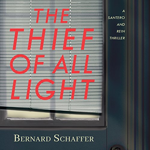 Cover of The Thief of All Light