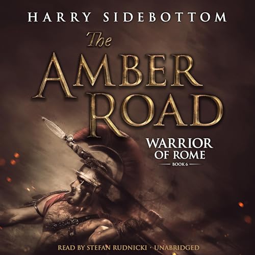 Cover of The Amber Road