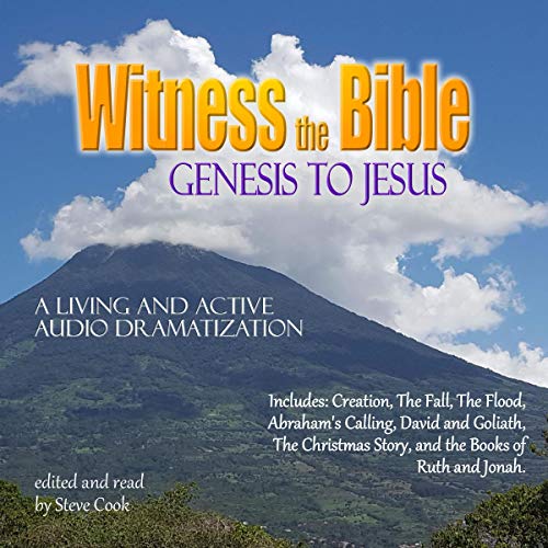Cover of Witness the Bible